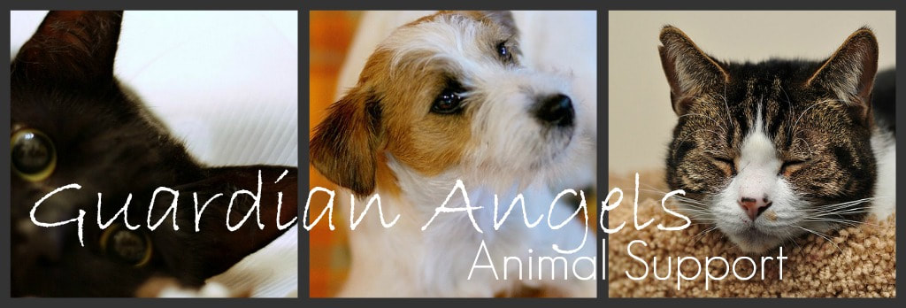 Guardian Angels Animal Support - Animal Rehoming & Adoption